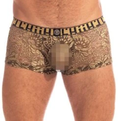 Boxer L Homme Invisible Halcyonique MY39HAL
