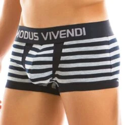 Boxer Modus Vivendi Stripped 11921 -Sous-vêtement Soldes Boxer modus 11921 gris 4