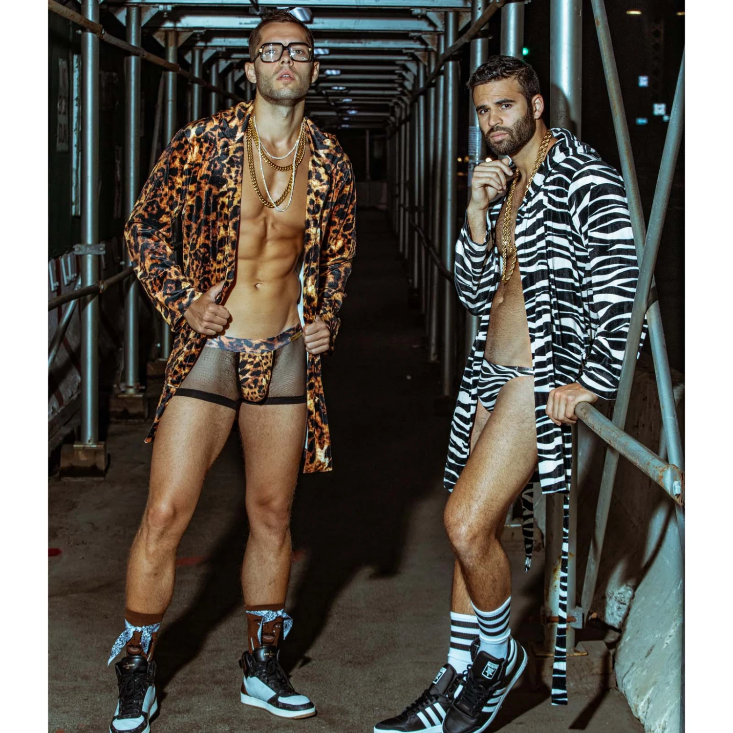 Boxer Modus Vivendi Animal 14922 4 Boxer Modus Vivendi Animal 14922 – Image 2