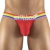 Bikini ErgoWear MAX XV PRIDE EW1120 1 Bikini ErgoWear MAX XV PRIDE EW1120 -Sous-vêtement Soldes bikini ergo EW1120 rouge m
