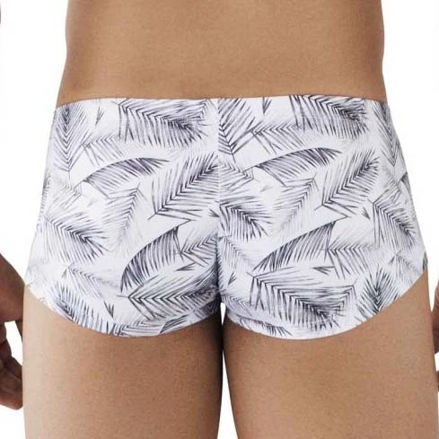 Boxer Clever Authentic 0795 5 Boxer Clever Authentic 0795 – Image 3