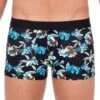 Boxer HOM Eden Roc 405705 1 Boxer HOM Eden Roc 405705 -Sous-vêtement Soldes boxer hom 405705 noir m