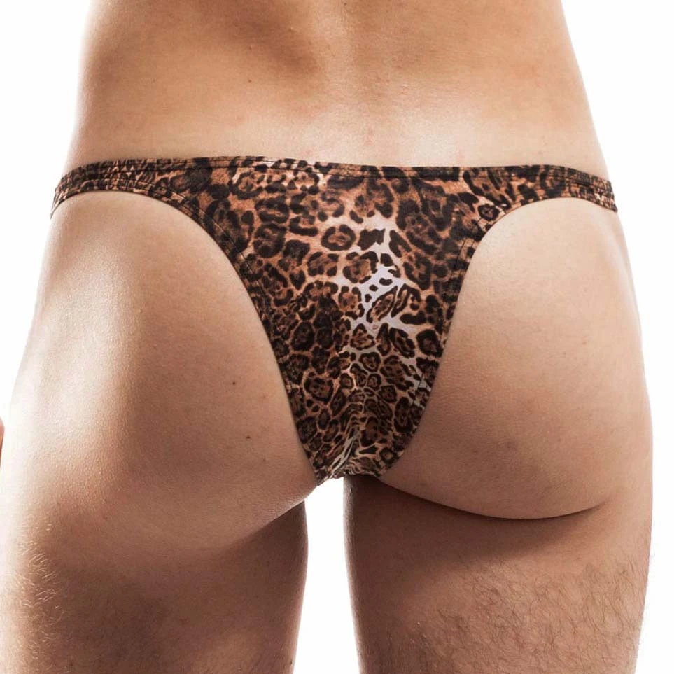 Tanga Wojoer Brauner Leo SP3B14 5 Tanga Wojoer Brauner Leo SP3B14 – Image 3